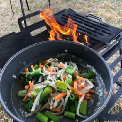 にんじんとほうれん草ともやしで作りました！！
キャンプでも簡単にお野菜がたっぷり食べれて美味しかったです♡♡